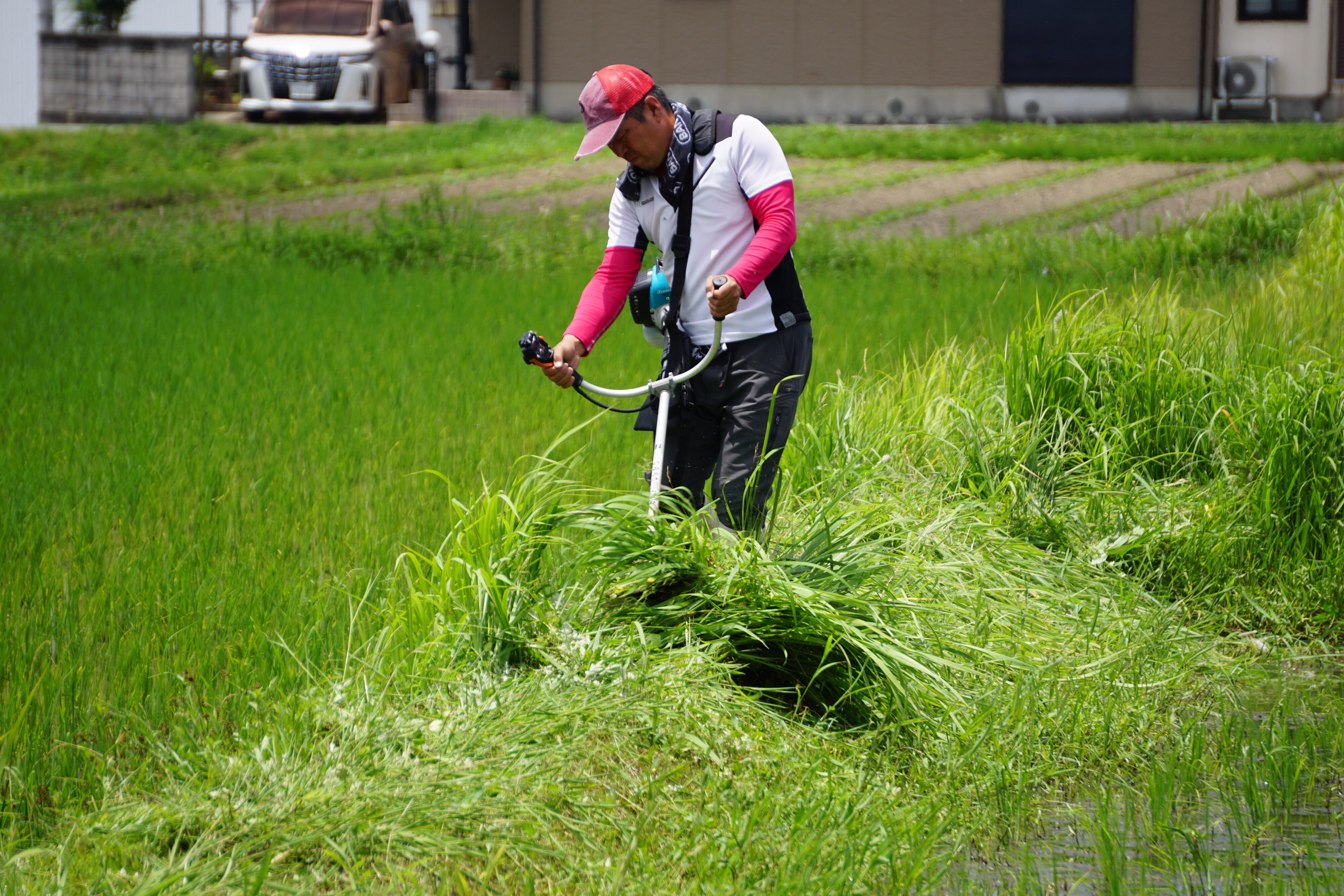 丹波篠山の水田と農地管理の様子