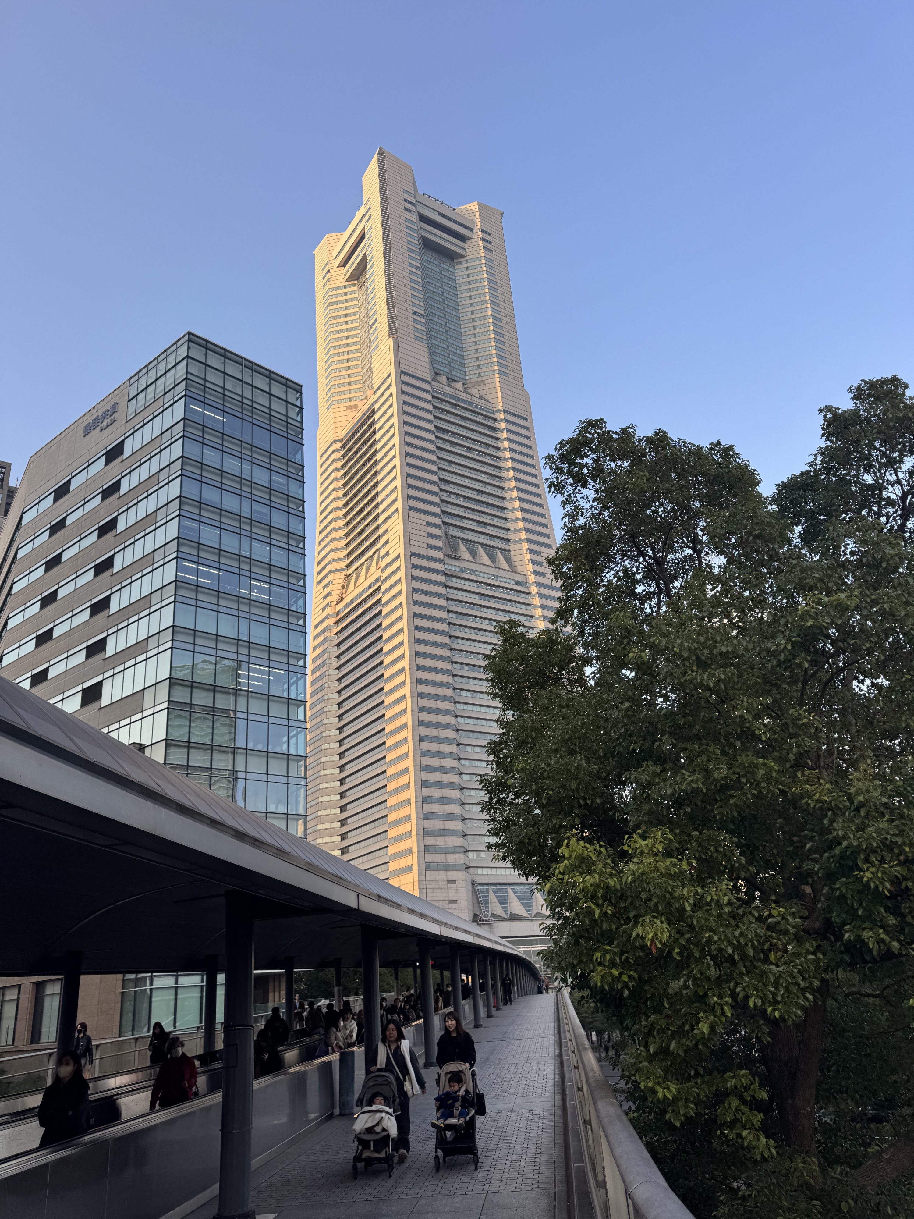仲間とのヒアリングから始まった計画