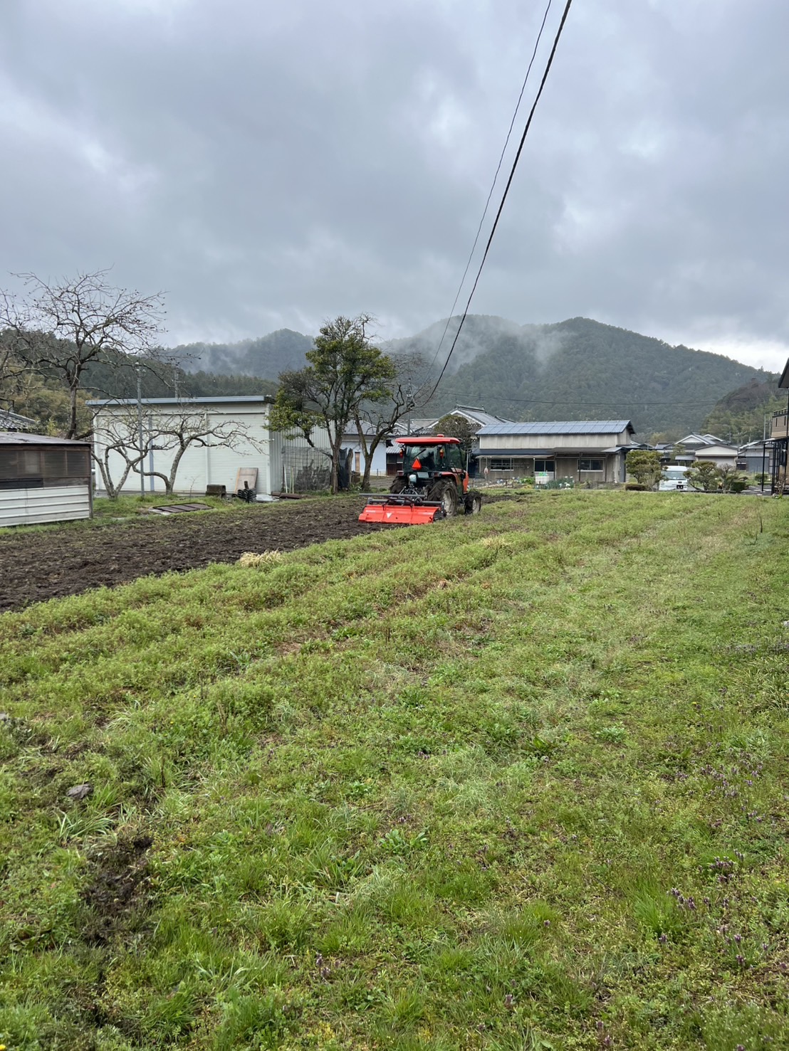 現地調査および土地確認プロセス2