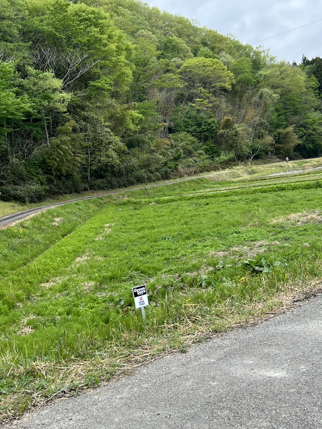 圃場での作業風景1