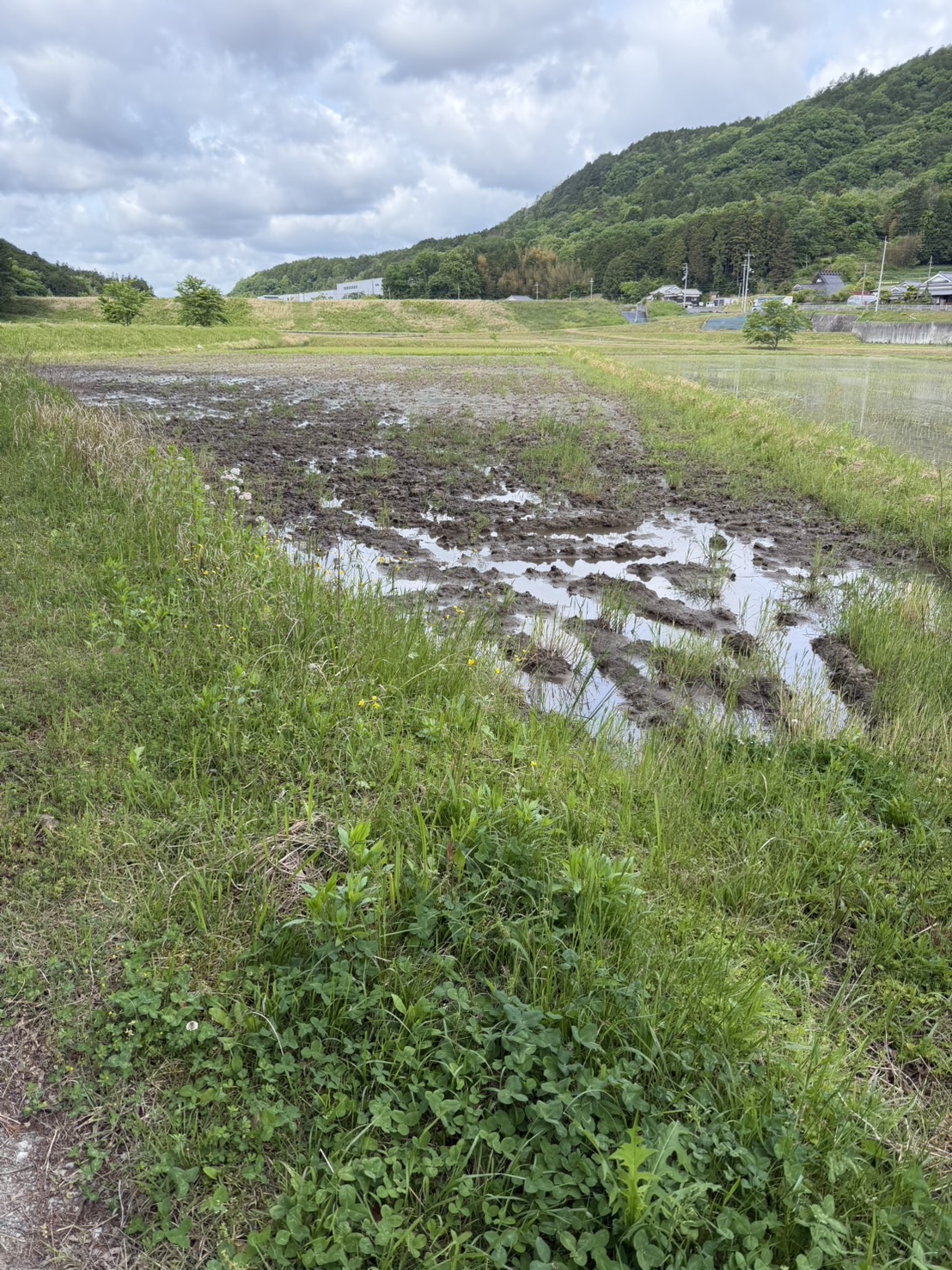 農機具の徹底洗浄メンテナンス2