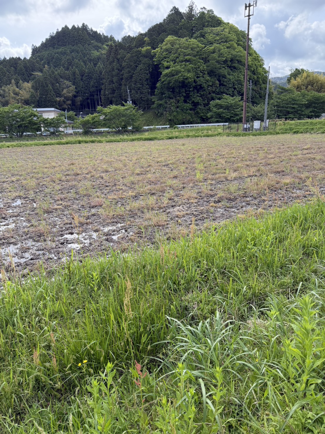 農機具の徹底洗浄メンテナンス1