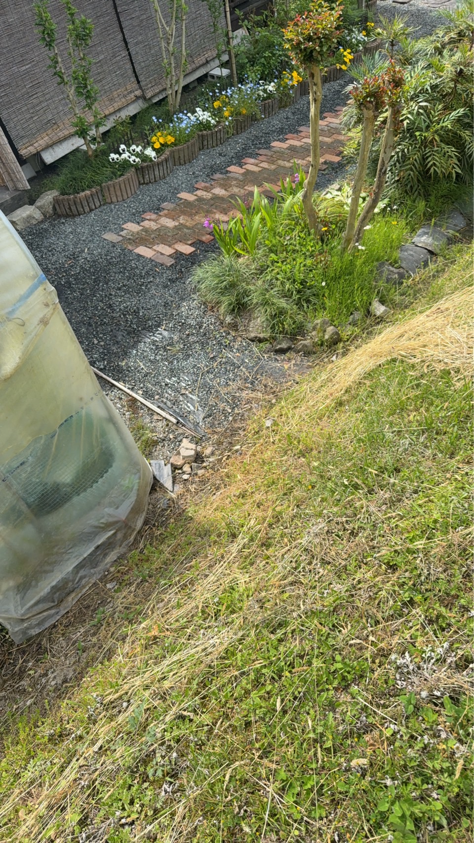 圃場での作業風景1