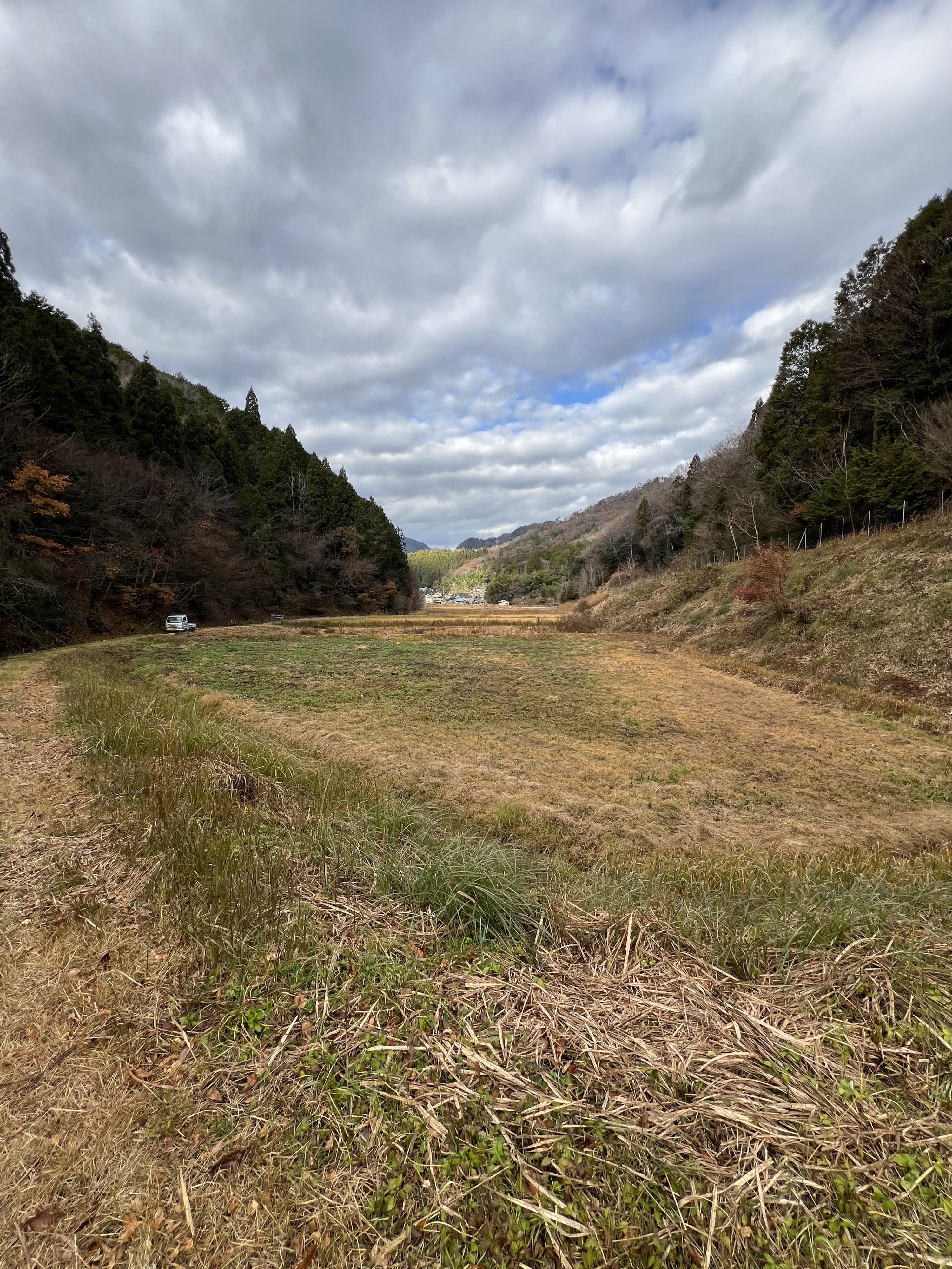 宮代地区の現地調査風景