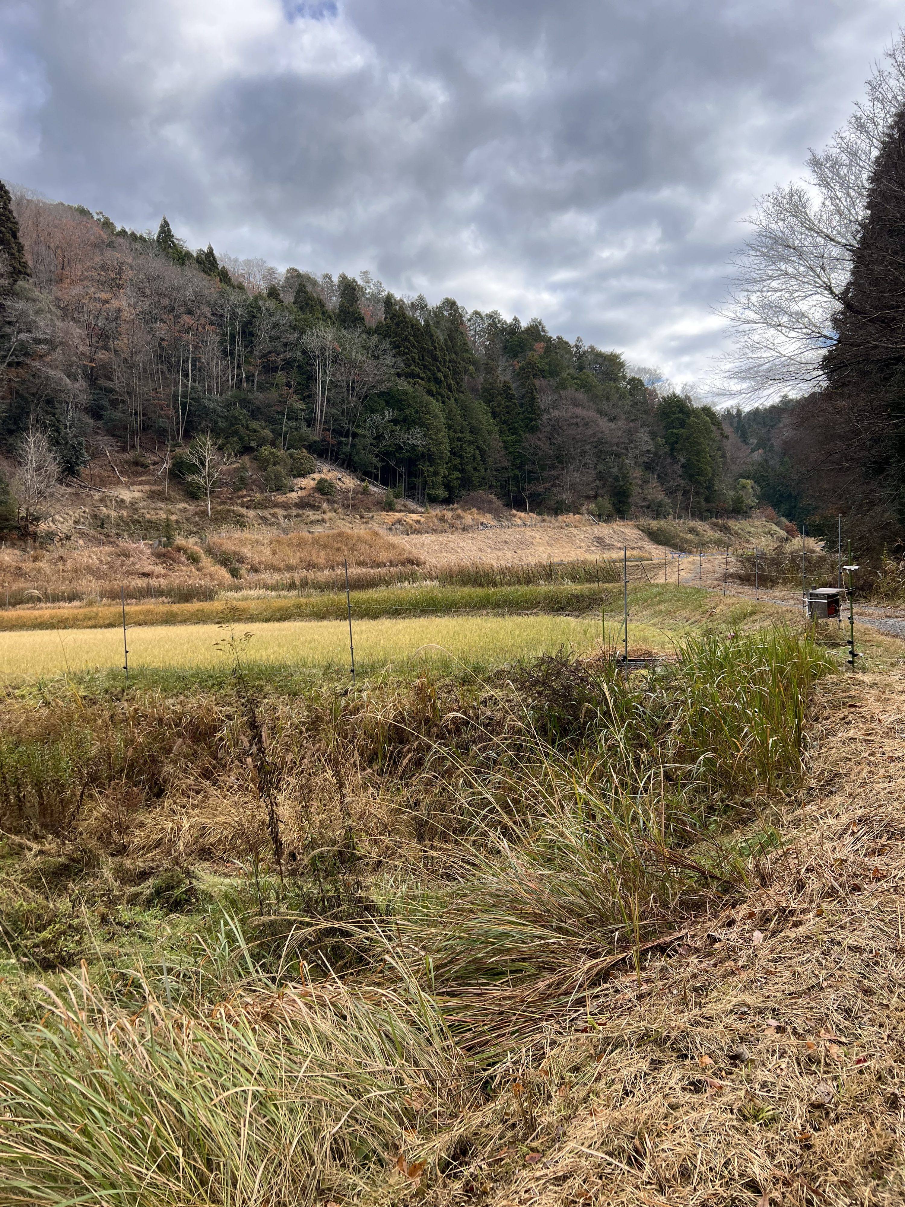 小野新地区の圃場確認