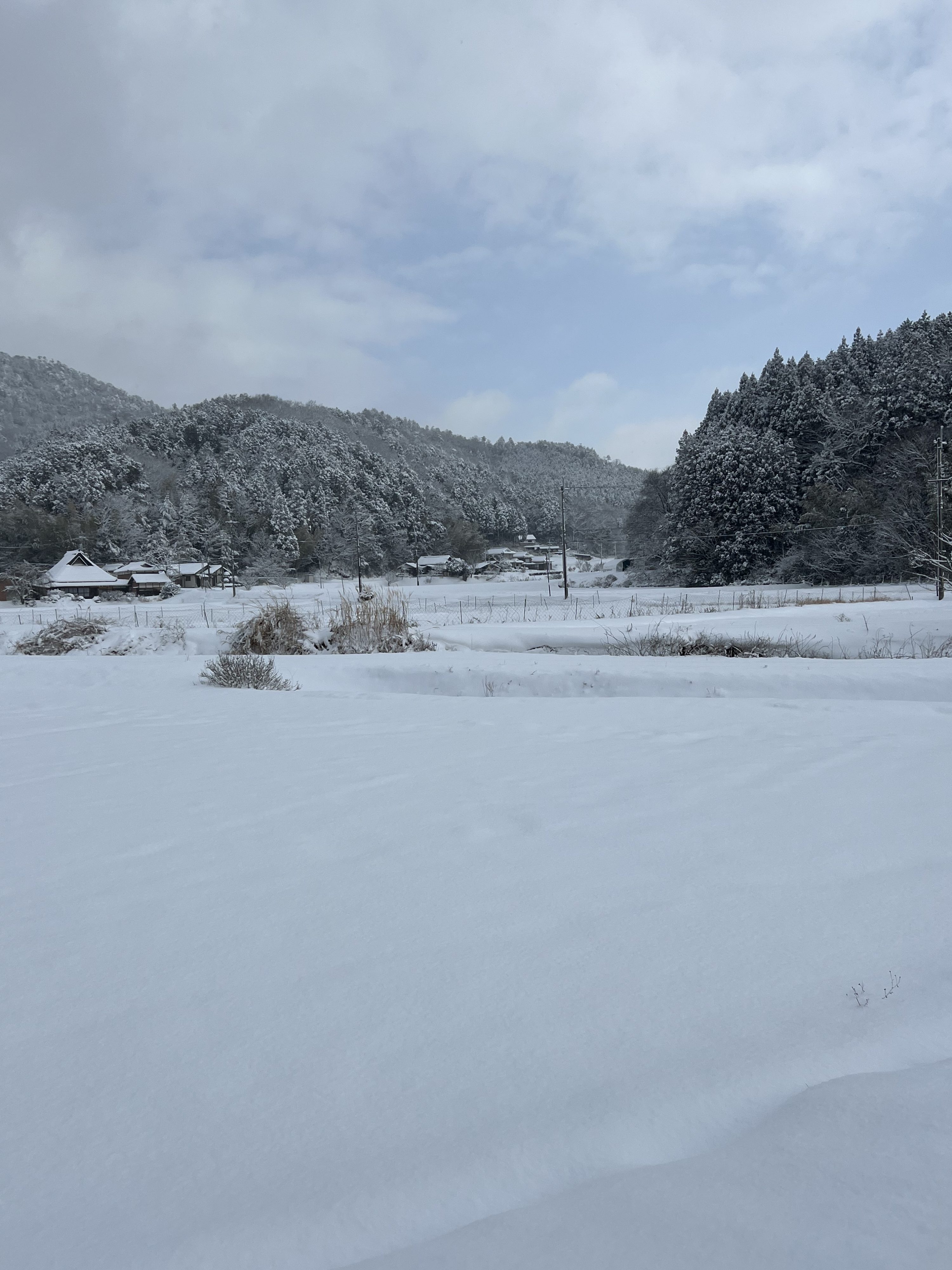 一面の雪景色となった丹波篠山・県守地区