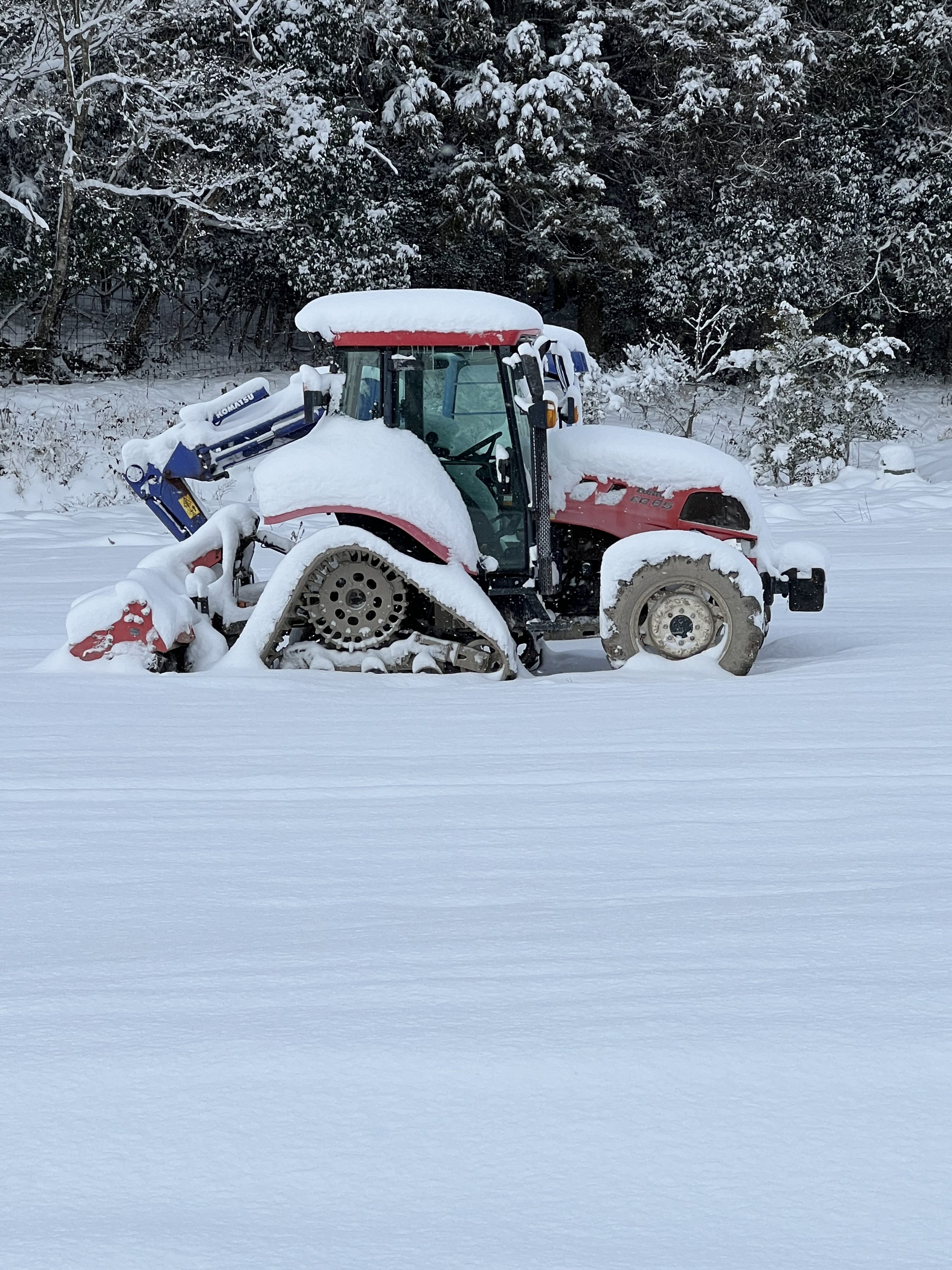 雪に埋もれる農地と道路の状況