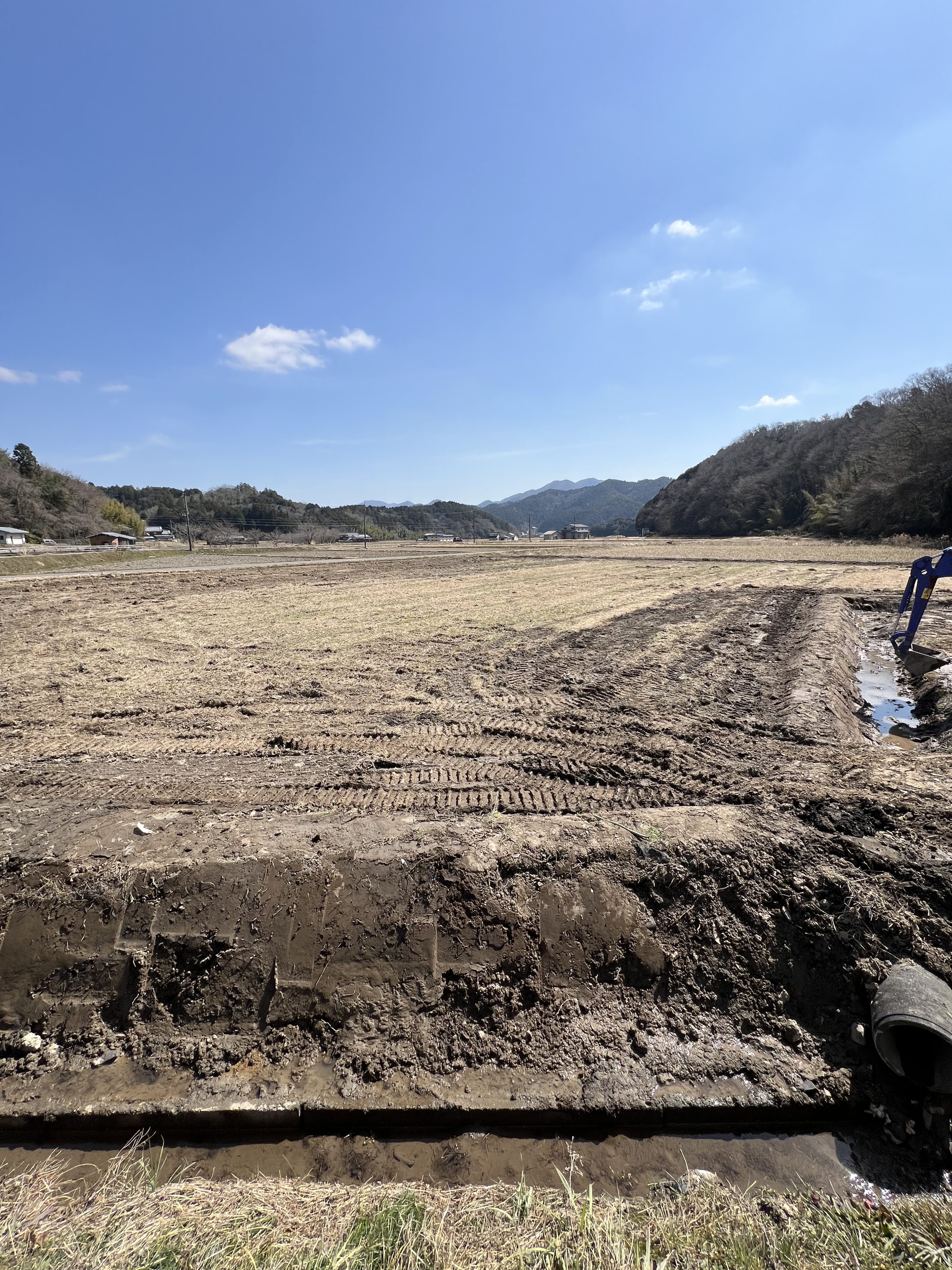 県守圃場での共同作業の様子