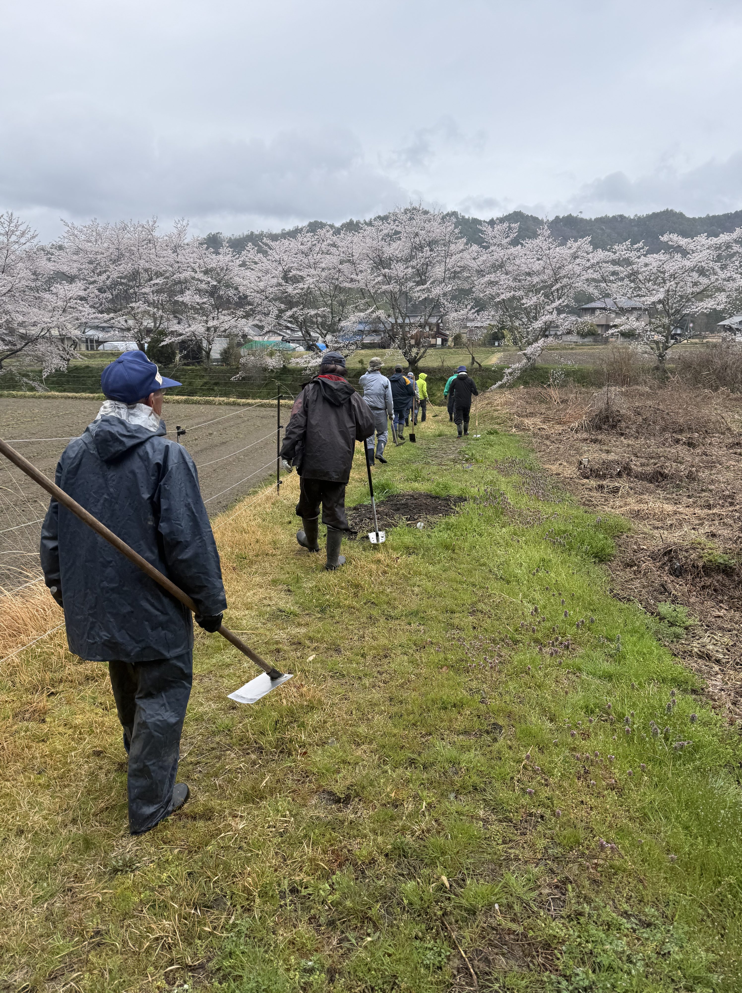 雨のなか黙々と溝掃除に励む徳永理事