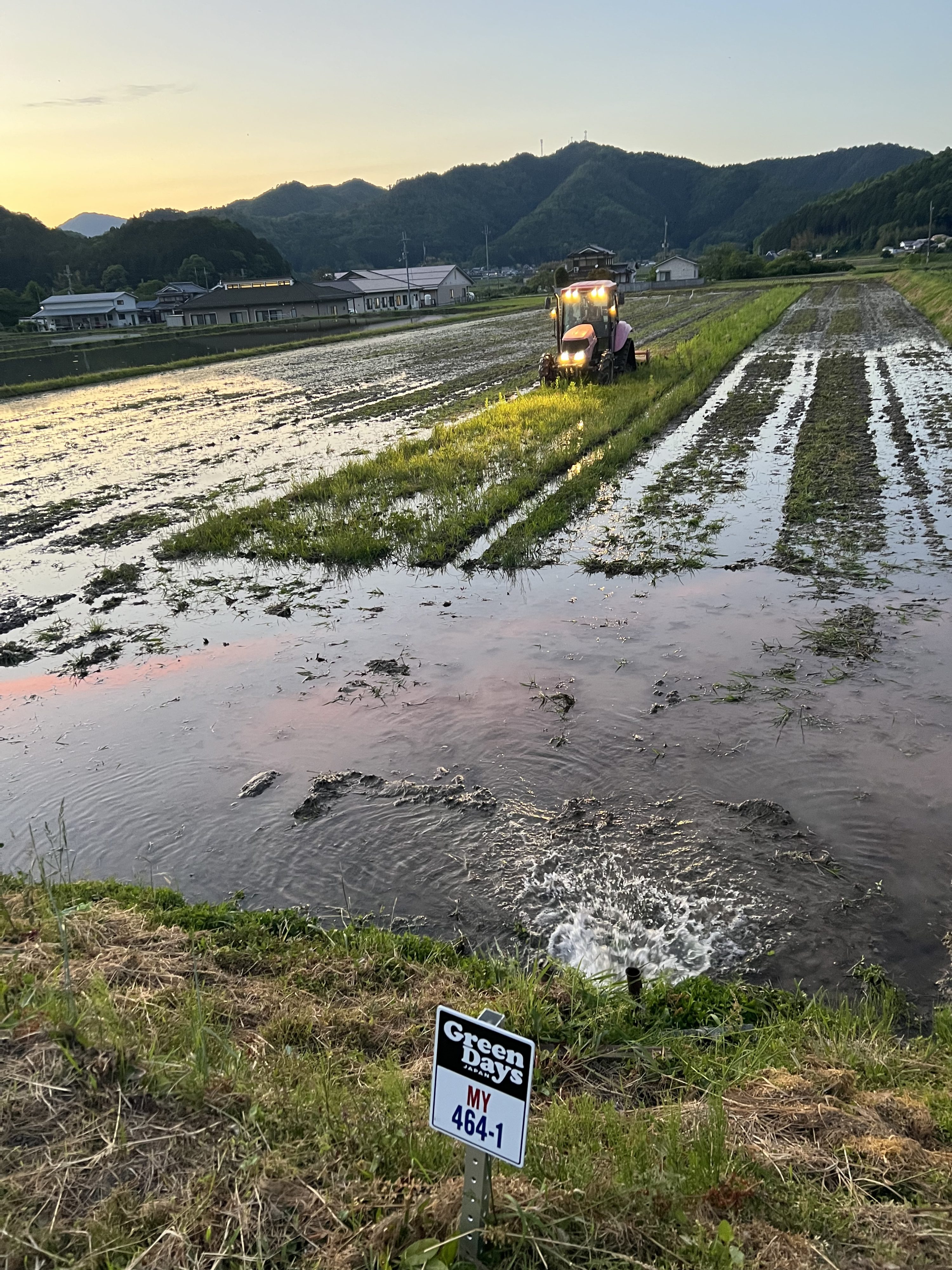 圃場進捗確認