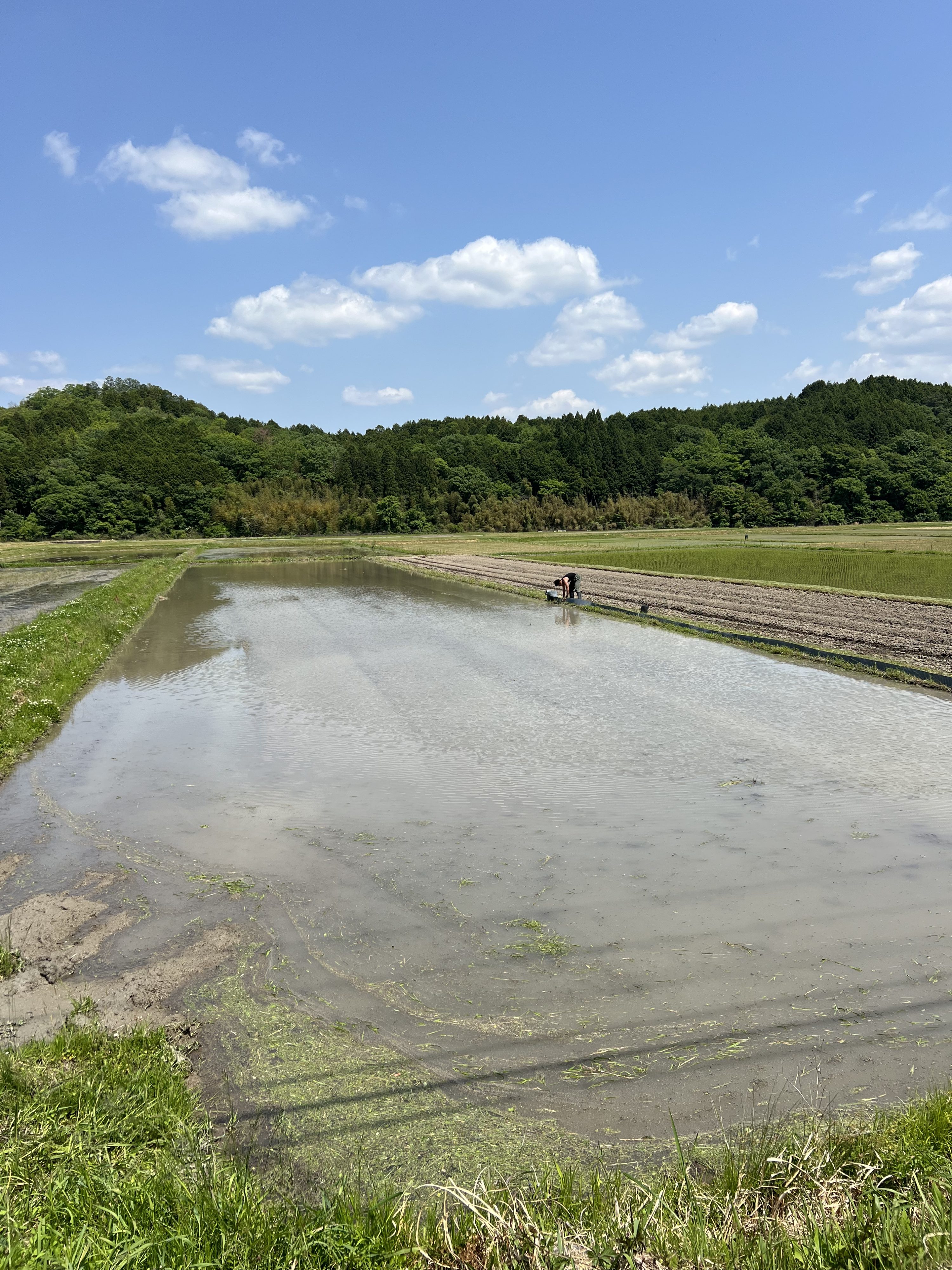 Green Days Japan 営農現場風景