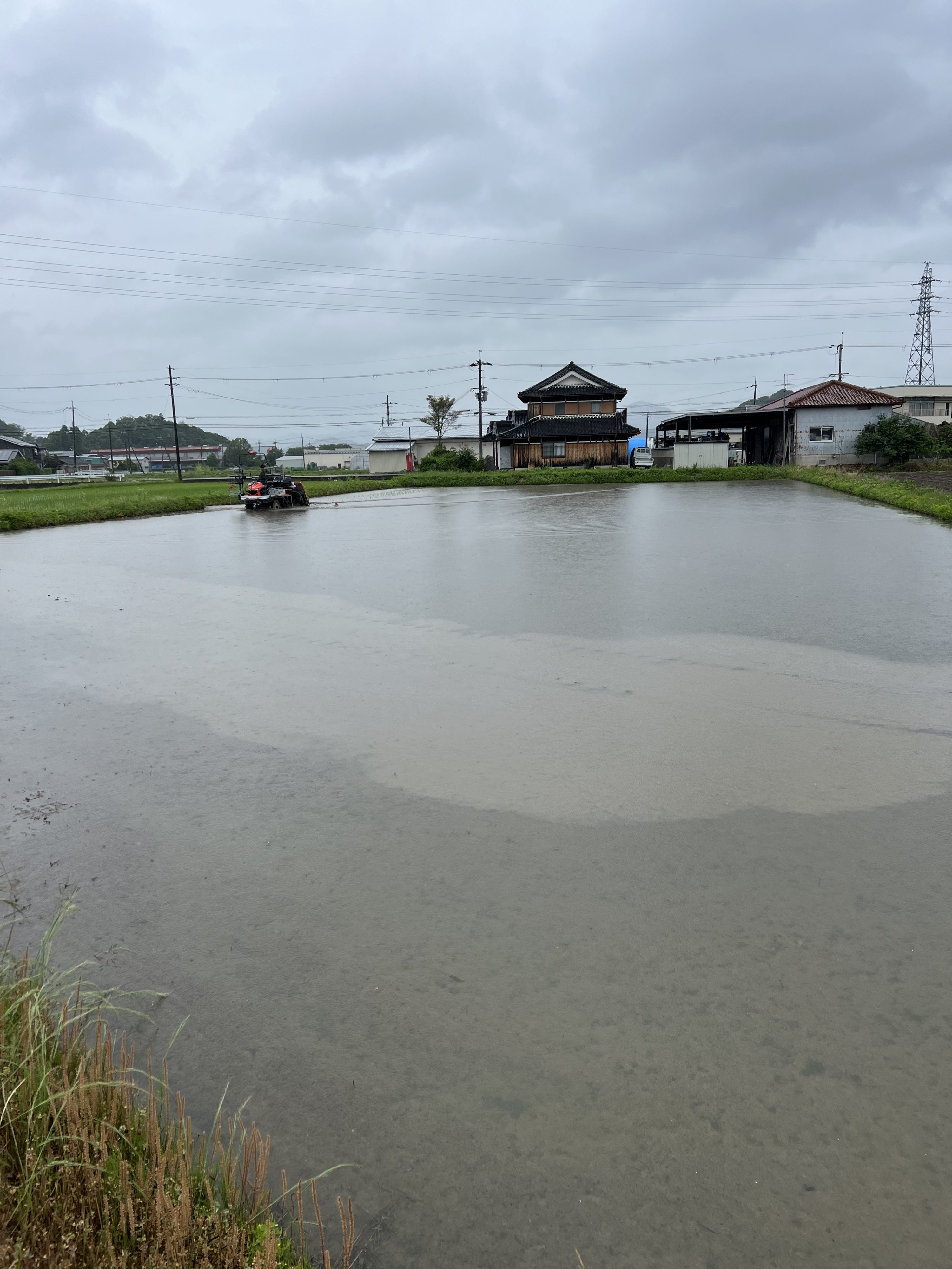 今シーズンの田植えをすべて無事に終えた圃場とチームの足跡