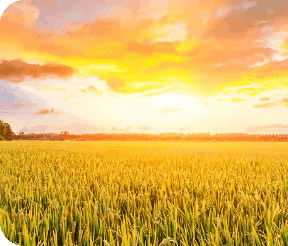 100年後の風景に、ぜひご参画ください