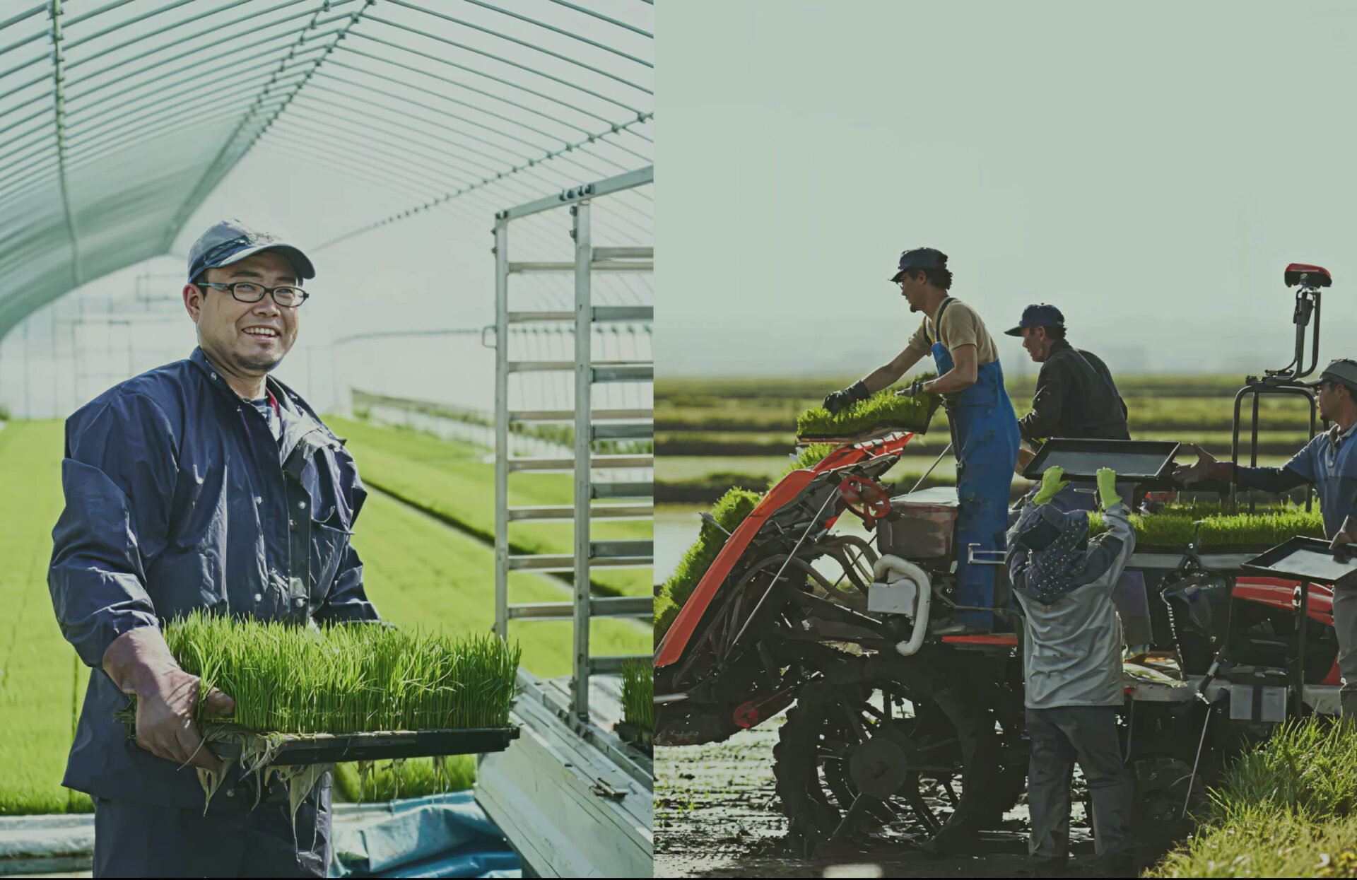 荒れた田畑を未来の宝に