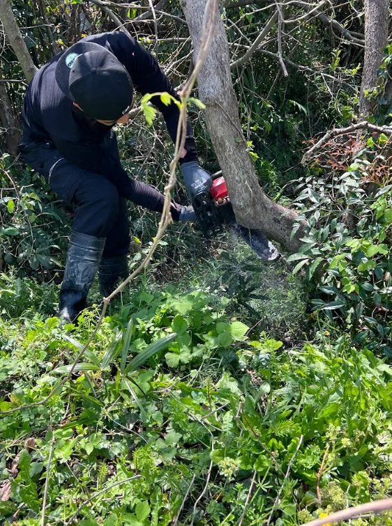 口県守地区での開墾・伐採作業
